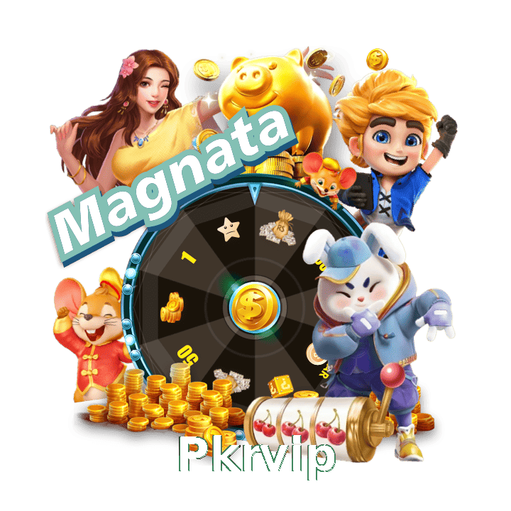 Pkrvip interface sample